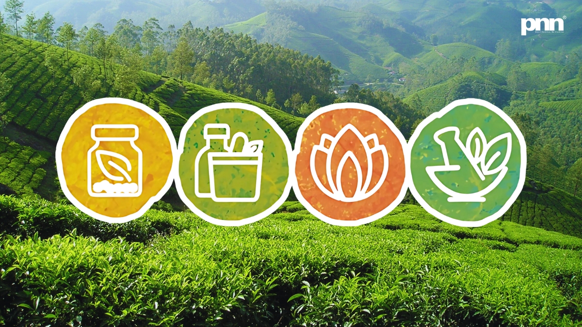 AYUSH in 2025 India’s Healing Legacy Goes Mainstream - PNN